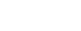 Viva Chiropractic and Wellness logo