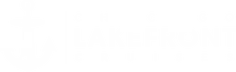 Summer of George logo