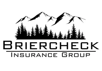Briercheck Insurance Group logo
