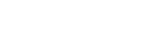 Level-1 Global Solutions logo