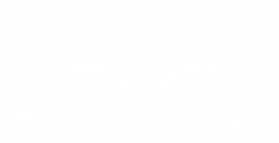San Diego Transportation and Limousine Service logo