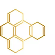 Nectar Aesthetics Med Spa logo