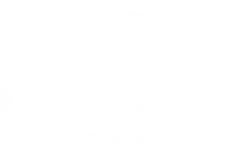 Burnes and Libman logo