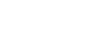 Noodles & Company logo
