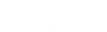 Leverage Fitness logo