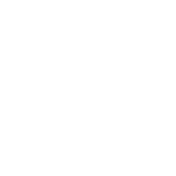 Pip's logo