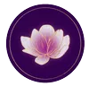 Julianne Steiner Skincare Studio logo