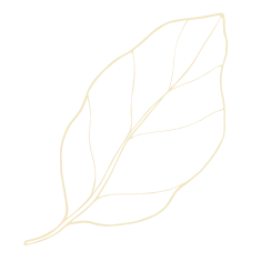 The Self Sanctuary logo