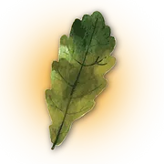 Wintzer Acupuncture logo