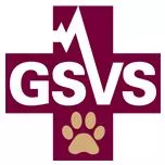 GSVS Pet Hospital logo