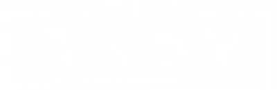 The Andy logo