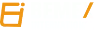 Bemex International logo