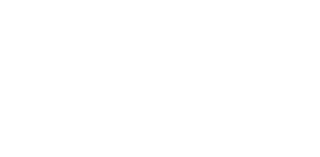 The Acorn logo