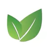 Anew You Medical Aesthetics and Total Wellness Center logo