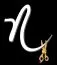 Noraynes Studio Salon logo