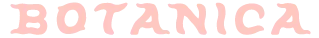 Botanica Shop and Studio logo