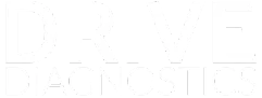 Drive Diagnostics logo
