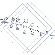 Midwife Courtney logo