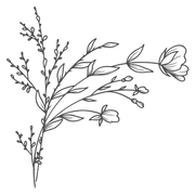 The Arc Collective logo