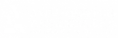 Antunovich Associates logo