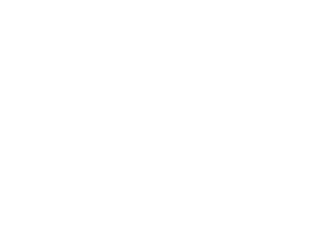 Shelter to Soldier logo