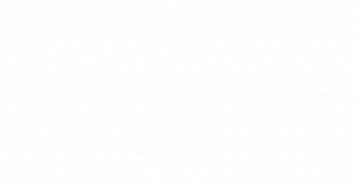 The Color Collective Salon logo