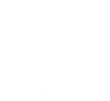 Viva Birria logo