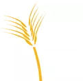 Ellis County Emergency Medical Services logo