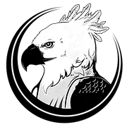 Gray Eagle Construction logo