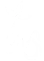 My Wellness Solutions logo