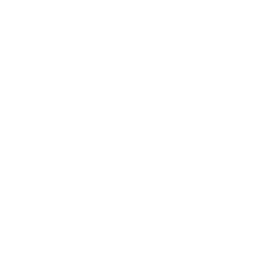 Waves Hawaii Surf School logo