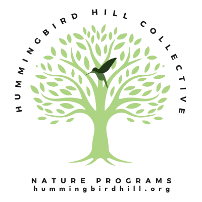 Hummingbird Hill Collective logo