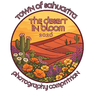 Anamax Recreation Center | Anamax Park - Town of Sahuarita logo