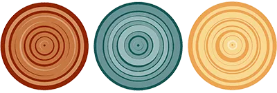 Bauer Clifton Interiors logo