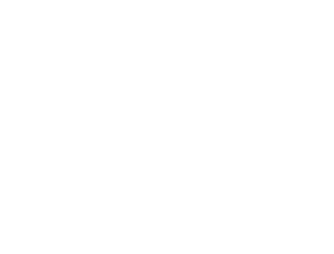 Forge & Link Financial Group, LLC. logo