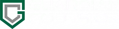 Guardian Collision logo