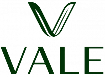 Vale Healthy Kitchen logo