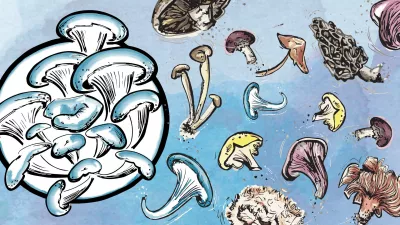 RI Mushroom Co. logo