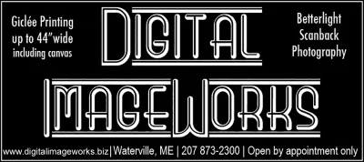 Digital Imageworks logo