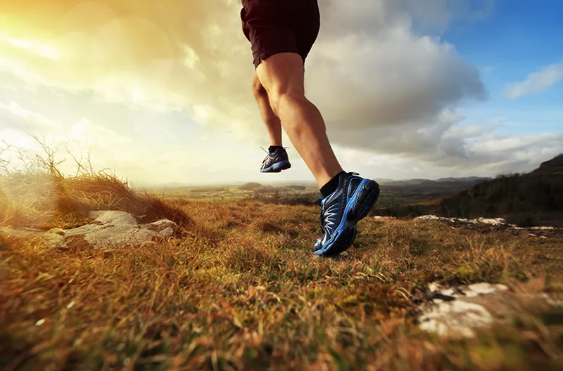 The Running Institute