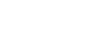 4africa logo
