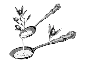 Apolonia logo