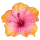 West Kauai Sun logo
