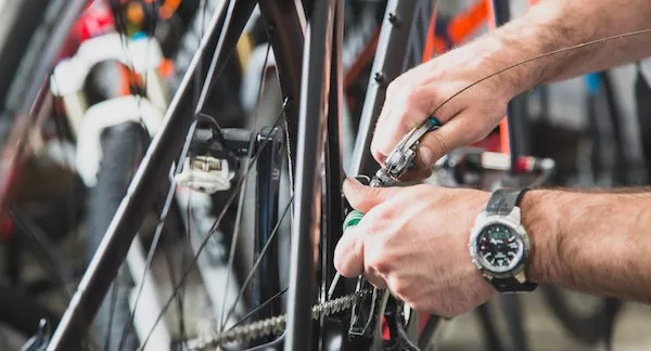 Edgebrook Cycle