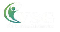 VSG BUSINESS SOLUTIONS logo