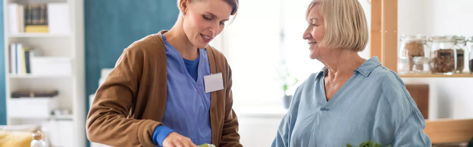 Pleasant Home Care Services