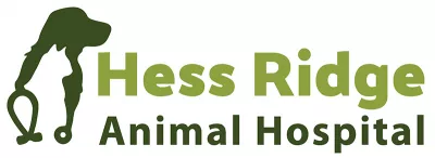 Hess Ridge Animal Hospital logo