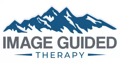 Image Guided Therapy logo