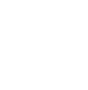 The Broc Schmelyun Team logo