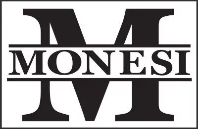 Monesi Trucking logo